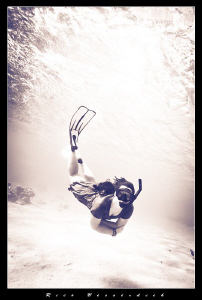 FreeDiver by Rico Besserdich 